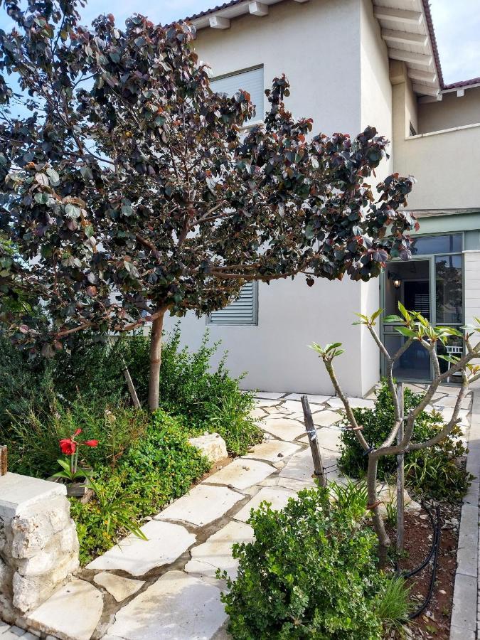 Apartament Tavor View נוף תבור Dovrat Zewnętrze zdjęcie